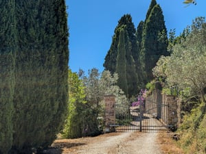 Cancello d’ingresso in ferro con viale sterrato tra cipressi e oliveti — Poggio al Coniglio, Suvereto