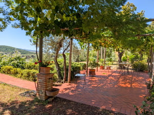 Villa in Toscana con veranda panoramica tra olivi: pergolato, cotto e tavolini per colazione — Poggio al Coniglio