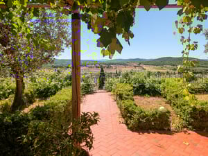 Sentiero in cotto sotto pergolato con vista su giardino e colline toscane — Poggio al Coniglio, villa a Suvereto con camere in affitto