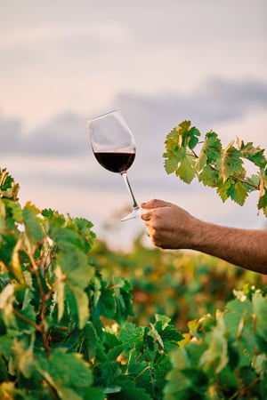 vertical-shot-person-holding-glass-wine-vineyard-sunlight-min